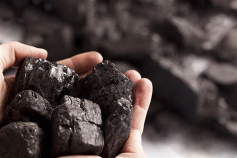 taş kömürü fiyatları